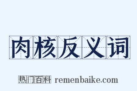 肉核反义词是什么意思的图片